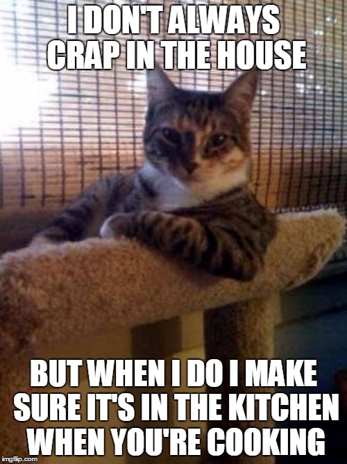 The Most Interesting Cat In The World | I DON'T ALWAYS CRAP IN THE HOUSE; BUT WHEN I DO I MAKE SURE IT'S IN THE KITCHEN WHEN YOU'RE COOKING | image tagged in memes,the most interesting cat in the world | made w/ Imgflip meme maker