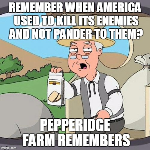Pepperidge Farm Remembers Meme | REMEMBER WHEN AMERICA USED TO KILL ITS ENEMIES AND NOT PANDER TO THEM? PEPPERIDGE FARM REMEMBERS | image tagged in memes,pepperidge farm remembers | made w/ Imgflip meme maker