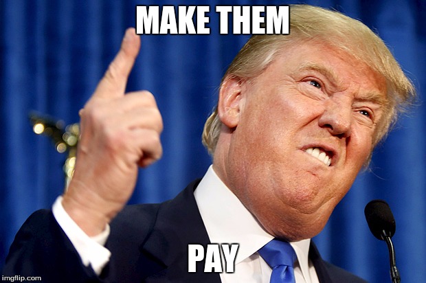 Donald Trump | MAKE THEM; PAY | image tagged in donald trump | made w/ Imgflip meme maker