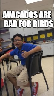 birdman's wisdom | AVACADOS ARE 
BAD FOR BIRDS | image tagged in birdman,lorenzo | made w/ Imgflip meme maker