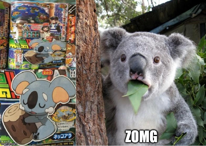 Nekkoala | ZOMG | image tagged in surprised nekkoala,surprised koala,memes,funny,imgflip,pokemon | made w/ Imgflip meme maker