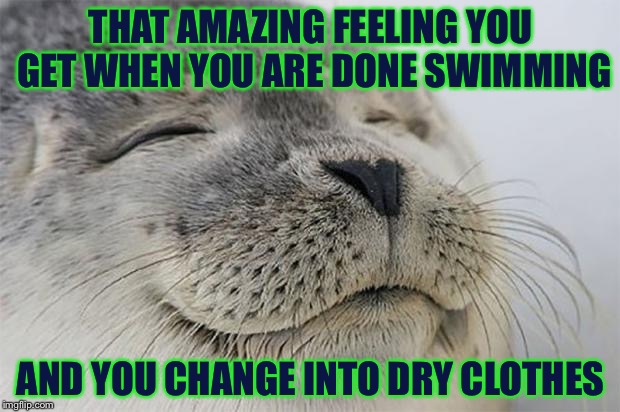 I Just Finished Swimming and Changed Clothes, Feels Amazing. | THAT AMAZING FEELING YOU GET WHEN YOU ARE DONE SWIMMING; AND YOU CHANGE INTO DRY CLOTHES | image tagged in memes,satisfied seal | made w/ Imgflip meme maker