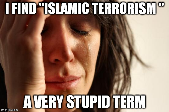 People are the ones to blame for their acts. You can be a violent moron even if buddhist.Religion is not morals. | I FIND "ISLAMIC TERRORISM "; A VERY STUPID TERM | image tagged in memes,first world problems | made w/ Imgflip meme maker