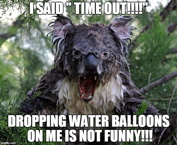 angry koala | I SAID " TIME OUT!!!!"; DROPPING WATER BALLOONS ON ME IS NOT FUNNY!!! | image tagged in angry koala | made w/ Imgflip meme maker