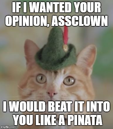 Beat you like a Pinata | IF I WANTED YOUR OPINION, ASSCLOWN; I WOULD BEAT IT INTO YOU LIKE A PINATA | image tagged in cats,funny,too funny | made w/ Imgflip meme maker