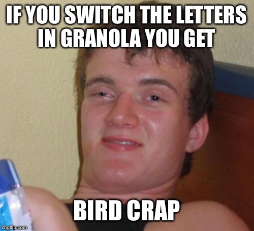 It's really oral-nag | IF YOU SWITCH THE LETTERS IN GRANOLA YOU GET; BIRD CRAP | image tagged in memes,10 guy,funny,anagram,nasty | made w/ Imgflip meme maker
