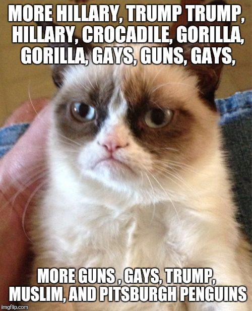 Grumpy Cat Meme | MORE HILLARY, TRUMP TRUMP, HILLARY, CROCADILE, GORILLA, GORILLA, GAYS, GUNS, GAYS, MORE GUNS , GAYS, TRUMP, MUSLIM, AND PITSBURGH PENGUINS | image tagged in memes,grumpy cat | made w/ Imgflip meme maker