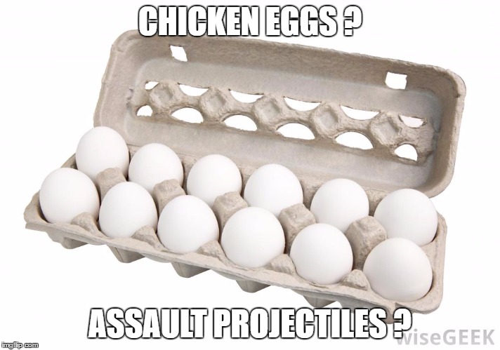 Dozen eggs | CHICKEN EGGS ? ASSAULT PROJECTILES ? | image tagged in dozen eggs | made w/ Imgflip meme maker