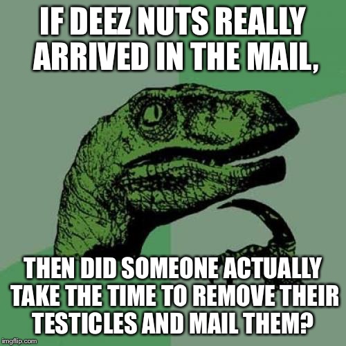 So I had posted this in a "stupid question,stupid answer" thread... | IF DEEZ NUTS REALLY ARRIVED IN THE MAIL, THEN DID SOMEONE ACTUALLY TAKE THE TIME TO REMOVE THEIR TESTICLES AND MAIL THEM? | image tagged in memes,philosoraptor,deez nuts,stupid question,stupid | made w/ Imgflip meme maker