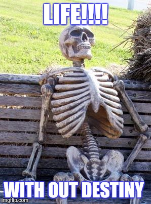 Waiting Skeleton | LIFE!!!! WITH OUT DESTINY | image tagged in memes,waiting skeleton | made w/ Imgflip meme maker