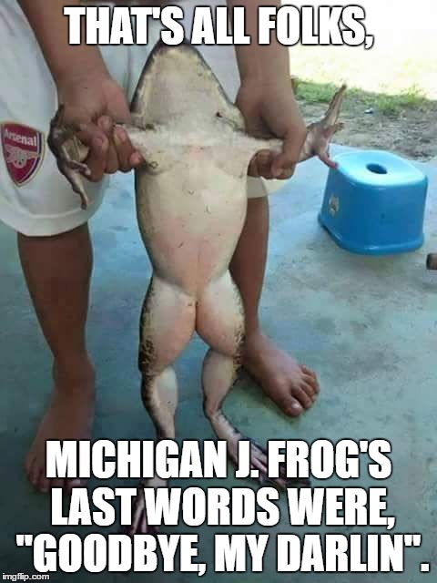 Michigan J. Frog | THAT'S ALL FOLKS, MICHIGAN J. FROG'S LAST WORDS WERE, "GOODBYE, MY DARLIN". | image tagged in michigan,sad frog,warner bros,memes,donald trump | made w/ Imgflip meme maker