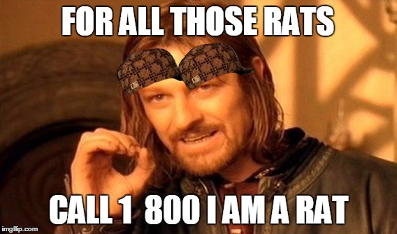 One Does Not Simply Meme | FOR ALL THOSE RATS; CALL 1  800 I AM A RAT | image tagged in memes,one does not simply,scumbag | made w/ Imgflip meme maker