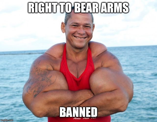 Bear arms | RIGHT TO BEAR ARMS; BANNED | image tagged in bear arms | made w/ Imgflip meme maker