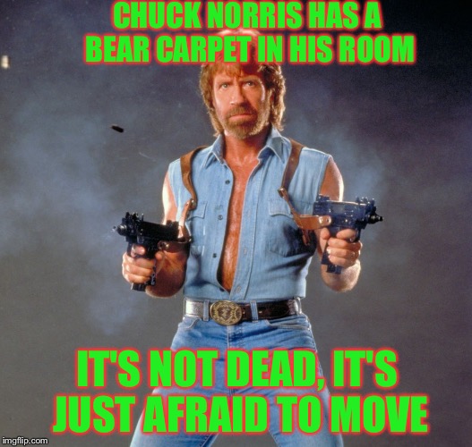 Chuck Norris Guns | CHUCK NORRIS HAS A BEAR CARPET IN HIS ROOM; IT'S NOT DEAD, IT'S JUST AFRAID TO MOVE | image tagged in chuck norris | made w/ Imgflip meme maker