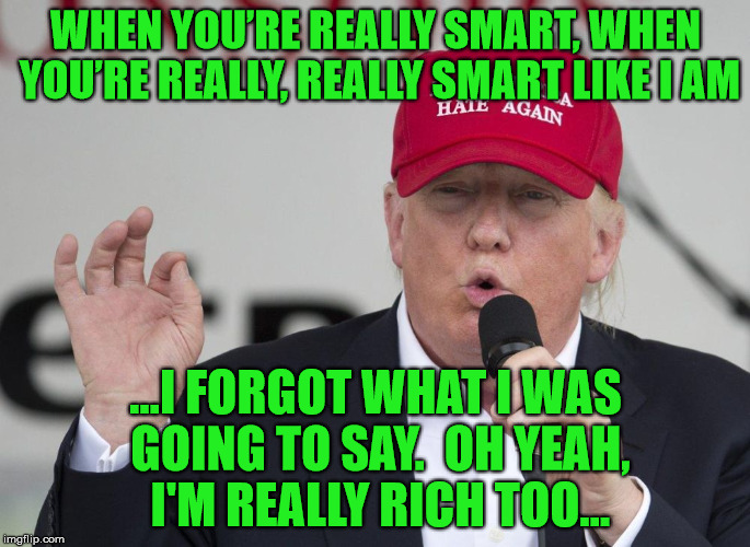 New Trump Hat | WHEN YOU’RE REALLY SMART, WHEN YOU’RE REALLY, REALLY SMART LIKE I AM; ...I FORGOT WHAT I WAS GOING TO SAY.  OH YEAH, I'M REALLY RICH TOO... | image tagged in new trump hat | made w/ Imgflip meme maker