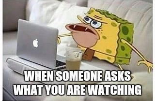 SpongeGar Computer | WHEN SOMEONE ASKS WHAT YOU ARE WATCHING | image tagged in spongegar computer | made w/ Imgflip meme maker