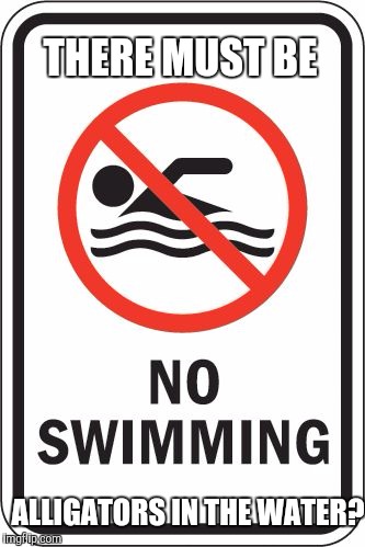 From Now On Assume "No Swimming" Means "Alligators Will Drag You Underwater And Kill You" | THERE MUST BE; ALLIGATORS IN THE WATER? | image tagged in no swimming,alligators,disney | made w/ Imgflip meme maker