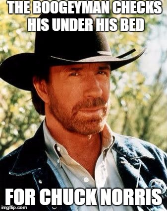 Chuck Norris | THE BOOGEYMAN CHECKS HIS UNDER HIS BED; FOR CHUCK NORRIS | image tagged in chuck norris | made w/ Imgflip meme maker