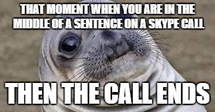 Akward moment seal | THAT MOMENT WHEN YOU ARE IN THE MIDDLE OF A SENTENCE ON A SKYPE CALL; THEN THE CALL ENDS | image tagged in akward moment seal | made w/ Imgflip meme maker