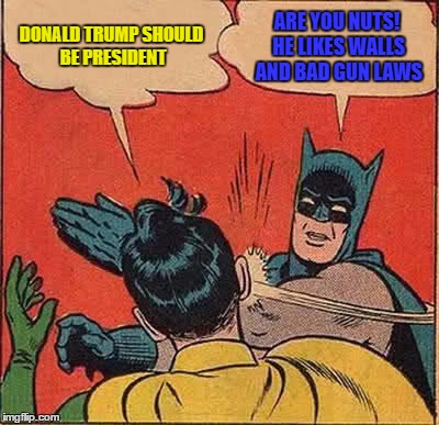 Batman Slapping Robin | DONALD TRUMP SHOULD BE PRESIDENT; ARE YOU NUTS! HE LIKES WALLS AND BAD GUN LAWS | image tagged in memes,batman slapping robin | made w/ Imgflip meme maker