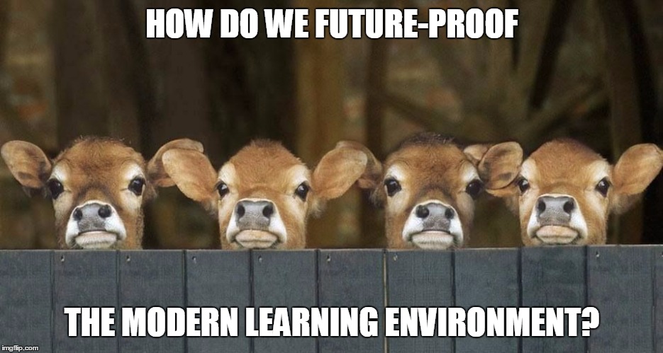 Cows | HOW DO WE FUTURE-PROOF; THE MODERN LEARNING ENVIRONMENT? | image tagged in cows | made w/ Imgflip meme maker