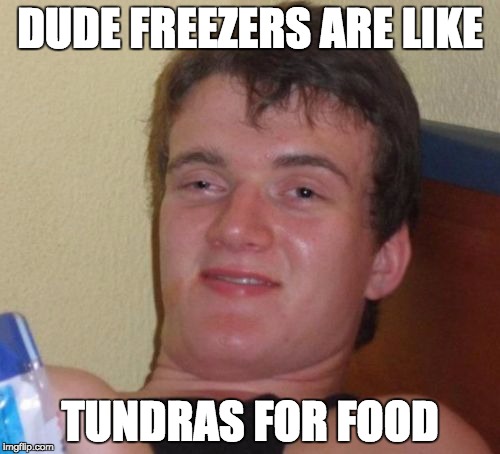 10 Guy Meme | DUDE FREEZERS ARE LIKE; TUNDRAS FOR FOOD | image tagged in memes,10 guy | made w/ Imgflip meme maker
