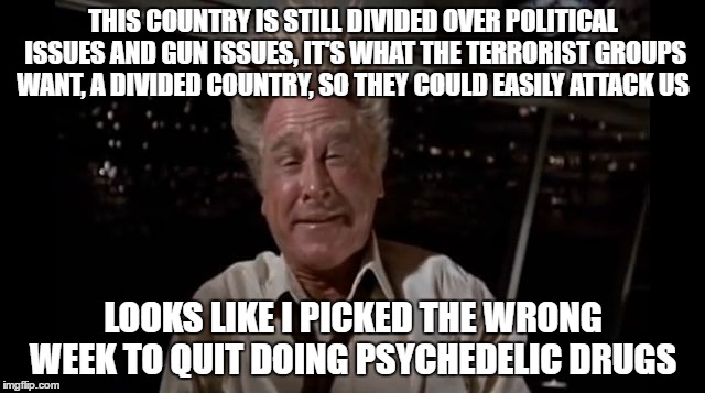 airplane wrong week | THIS COUNTRY IS STILL DIVIDED OVER POLITICAL ISSUES AND GUN ISSUES, IT'S WHAT THE TERRORIST GROUPS WANT, A DIVIDED COUNTRY, SO THEY COULD EASILY ATTACK US; LOOKS LIKE I PICKED THE WRONG WEEK TO QUIT DOING PSYCHEDELIC DRUGS | image tagged in airplane wrong week | made w/ Imgflip meme maker