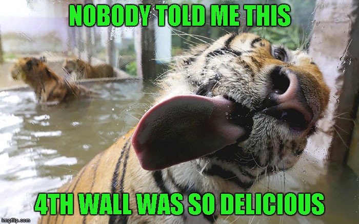 There must be a juicy human on the other side. | NOBODY TOLD ME THIS; 4TH WALL WAS SO DELICIOUS | image tagged in tiger licking glass,memes,funny animals,animals,funny tiger,tigers | made w/ Imgflip meme maker