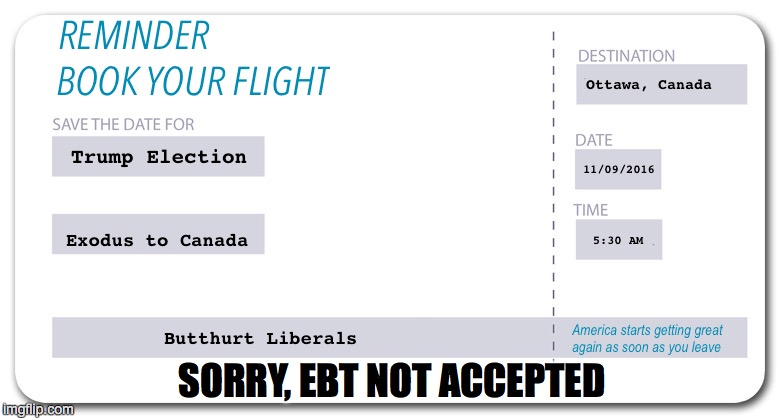 LEAVING ON A JET PLANE, DON'T KNOW IF I'LL BE BACK AGAIN... | SORRY, EBT NOT ACCEPTED | image tagged in trump,hillary,bernie sanders,bernie or hillary | made w/ Imgflip meme maker