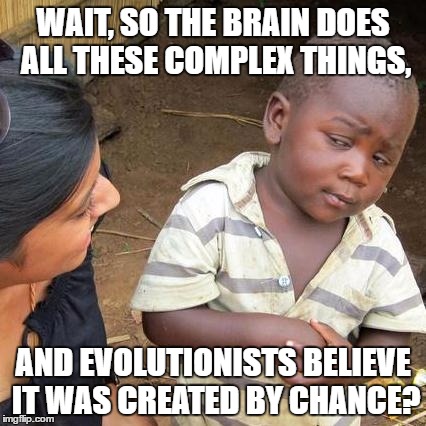 See the comments below. | WAIT, SO THE BRAIN DOES ALL THESE COMPLEX THINGS, AND EVOLUTIONISTS BELIEVE IT WAS CREATED BY CHANCE? | image tagged in memes,third world skeptical kid,evolution | made w/ Imgflip meme maker