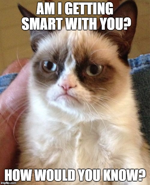 Grumpy Cat | AM I GETTING SMART WITH YOU? HOW WOULD YOU KNOW? | image tagged in memes,grumpy cat | made w/ Imgflip meme maker