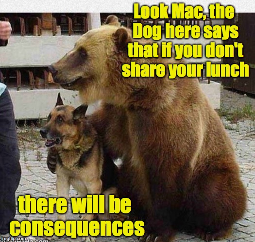 The God Dog Part 1 | Look Mac, the Dog here says that if you don't share your lunch; there will be consequences | image tagged in dog,bear,lunch | made w/ Imgflip meme maker