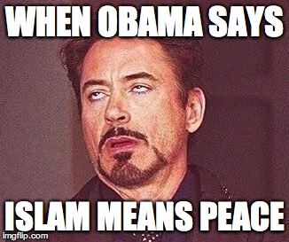 Robert Downy Jr | WHEN OBAMA SAYS; ISLAM MEANS PEACE | image tagged in robert downy jr | made w/ Imgflip meme maker