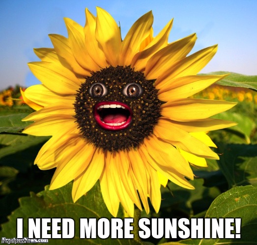 I NEED MORE SUNSHINE! | made w/ Imgflip meme maker