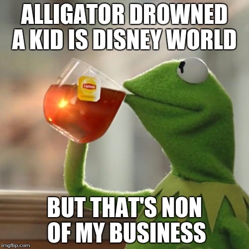 But That's None Of My Business | ALLIGATOR DROWNED A KID IS DISNEY WORLD; BUT THAT'S NON OF MY BUSINESS | image tagged in memes,but thats none of my business,kermit the frog | made w/ Imgflip meme maker