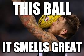 THIS BALL; IT SMELLS GREAT | image tagged in sports | made w/ Imgflip meme maker