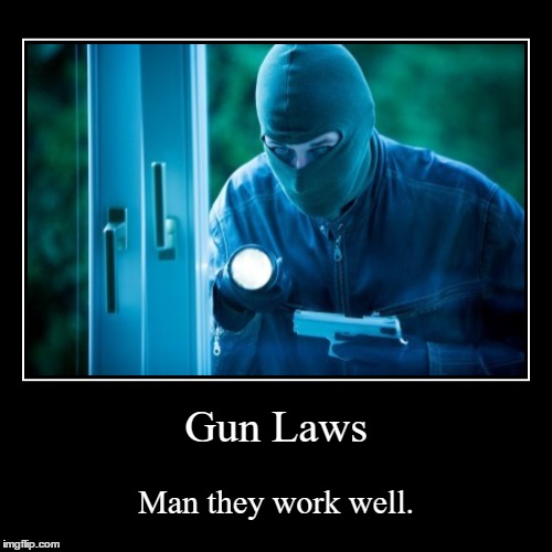 Fail gun laws. | image tagged in funny,demotivationals,gun control,gun laws | made w/ Imgflip demotivational maker