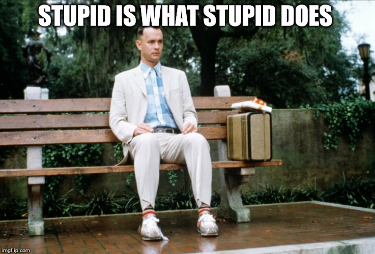 STUPID IS WHAT STUPID DOES | made w/ Imgflip meme maker