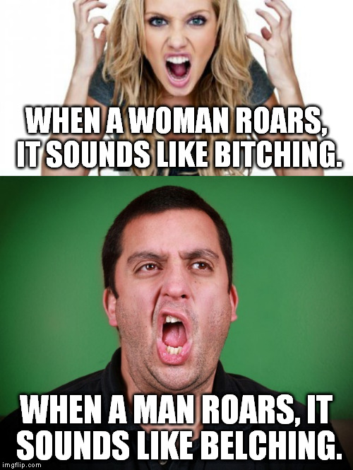 The Battle Of The Sexes continues | WHEN A WOMAN ROARS, IT SOUNDS LIKE BITCHING. WHEN A MAN ROARS, IT SOUNDS LIKE BELCHING. | image tagged in roar,woman,man,bitch,belch,battle of the sexes | made w/ Imgflip meme maker