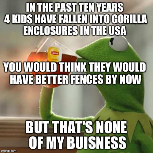 This is the last one, I'm sorry | IN THE PAST TEN YEARS 4 KIDS HAVE FALLEN INTO GORILLA ENCLOSURES IN THE USA; YOU WOULD THINK THEY WOULD HAVE BETTER FENCES BY NOW; BUT THAT'S NONE OF MY BUISNESS | image tagged in memes,but thats none of my business,kermit the frog | made w/ Imgflip meme maker