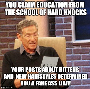 Maury Lie Detector | YOU CLAIM EDUCATION FROM THE SCHOOL OF HARD KNOCKS; YOUR POSTS ABOUT KITTENS AND  NEW HAIRSTYLES DETERMINED YOU A FAKE ASS LIAR! | image tagged in memes,maury lie detector | made w/ Imgflip meme maker