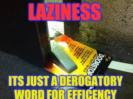 Laziness to the next level | LAZINESS; ITS JUST A DEROGATORY WORD FOR EFFICENCY | image tagged in memes,funny,laziness,who cares | made w/ Imgflip meme maker