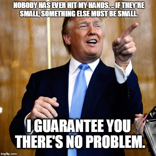 Trump's hands  | NOBODY HAS EVER HIT MY HANDS. .. IF THEY’RE SMALL, SOMETHING ELSE MUST BE SMALL. I GUARANTEE YOU THERE'S NO PROBLEM. | image tagged in donal trump birthday,donald trump,hands,trump 2016 | made w/ Imgflip meme maker