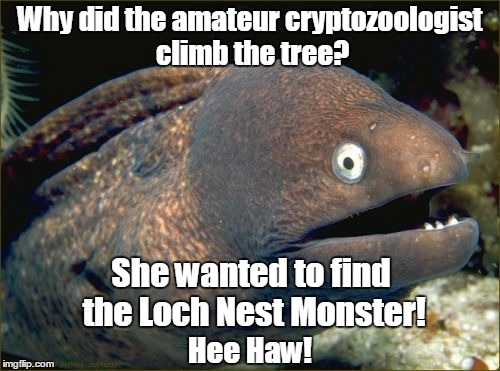 The feminine pronoun activist bad joke eel who laughs like a donkey is back! Hee haw! | Why did the amateur cryptozoologist climb the tree? She wanted to find the Loch Nest Monster! Hee Haw! | image tagged in memes,bad joke eel,cryptozoology,cryptozoologist,loch ness monster,dumb blonde | made w/ Imgflip meme maker