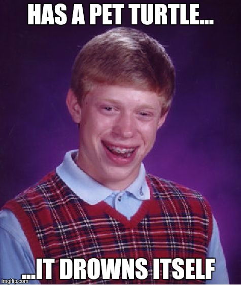 Bad Luck Brian Meme | HAS A PET TURTLE... ...IT DROWNS ITSELF | image tagged in memes,bad luck brian | made w/ Imgflip meme maker
