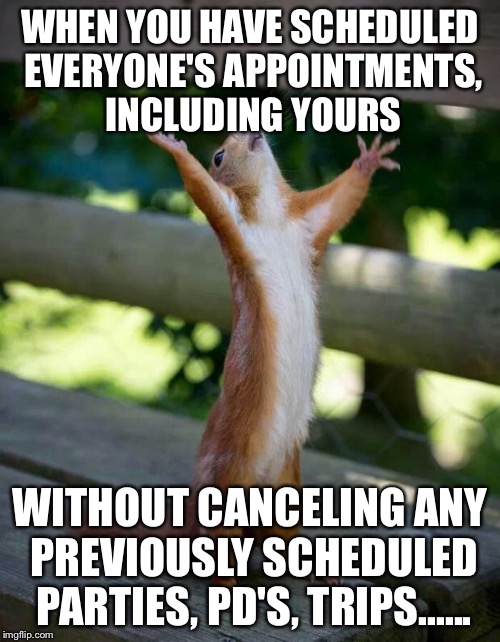 Happy Squirrel | WHEN YOU HAVE SCHEDULED EVERYONE'S APPOINTMENTS, INCLUDING YOURS; WITHOUT CANCELING ANY PREVIOUSLY SCHEDULED PARTIES, PD'S, TRIPS...... | image tagged in happy squirrel | made w/ Imgflip meme maker