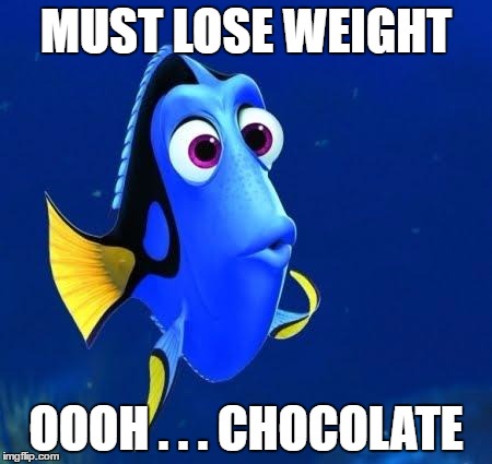 dory | MUST LOSE WEIGHT; OOOH . . . CHOCOLATE | image tagged in dory | made w/ Imgflip meme maker