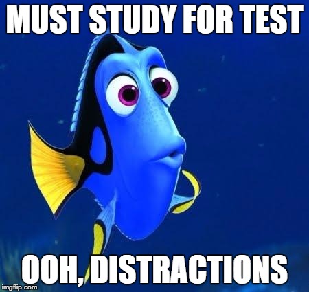 dory | MUST STUDY FOR TEST; OOH, DISTRACTIONS | image tagged in dory | made w/ Imgflip meme maker
