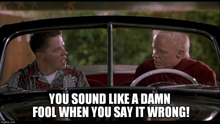 YOU SOUND LIKE A DAMN FOOL WHEN YOU SAY IT WRONG! | image tagged in young biff and old biff | made w/ Imgflip meme maker