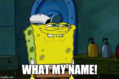 Don't You Squidward Meme | WHAT MY NAME! | image tagged in memes,dont you squidward | made w/ Imgflip meme maker